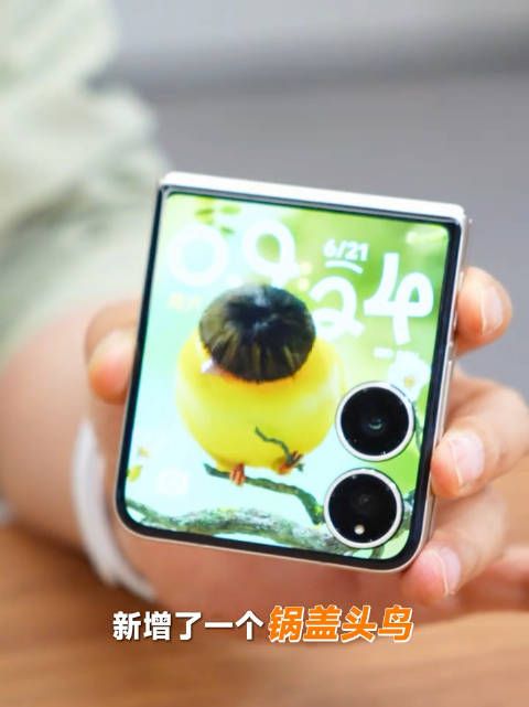 卢伟冰晒锅盖头鸟宠物壁纸引热议