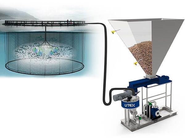  自动水力投喂系统