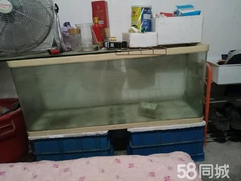 乐清花鸟鱼虫·没有底座鱼缸,1.5米*50,以前养热带龙鱼了,现在换房不养了,给价就