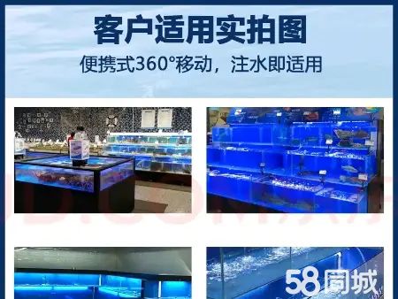 乐清花鸟鱼虫·海鲜池定制,移动海鲜池,土建海鲜池定制,批发海鲜池制作