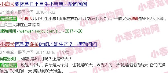 小鹿犬孕期有多长