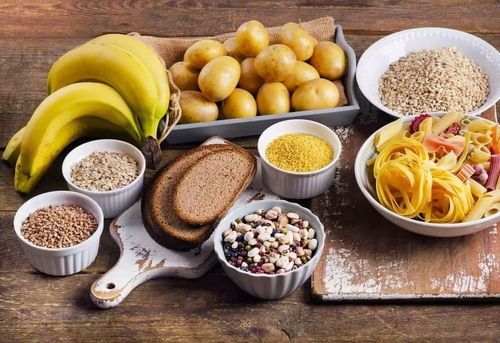 宠物瘦身秘籍：科学饮食，适量运动