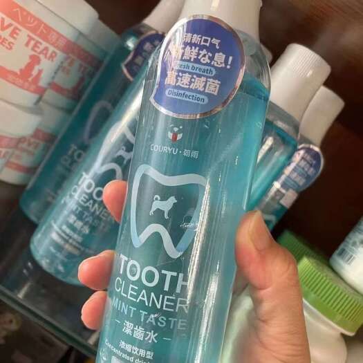 猫狗混批清理牙结石 口腔护理