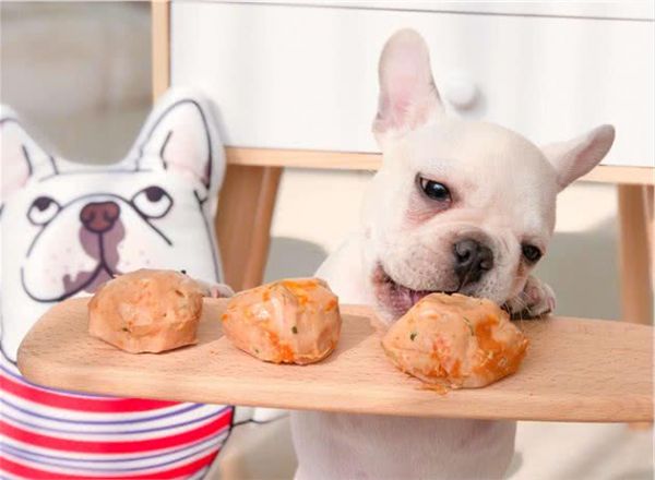 狗狗喂食误区｜这些食物少吃有益，过量伤身