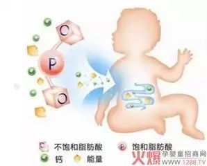 宠物神经炎，营养均衡是关键。