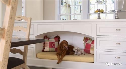 “宠物柜安装攻略，轻松打造萌宠专属空间！”