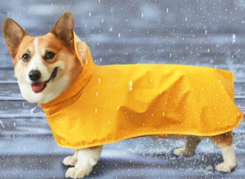 宠物生活，关注LISM宠物日用！