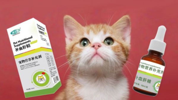宠物术后用什么补充营养合适？速卫灵宠物补血肝精，快速补给营养