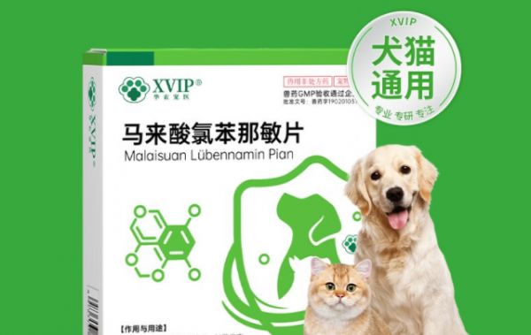 宠物过敏怎么办？get华农宠医马来酸氯苯那敏片即可轻松解决