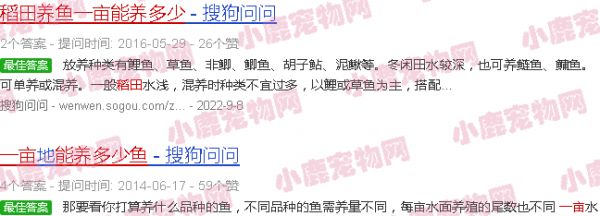 稻田养鱼一亩能养多少鱼