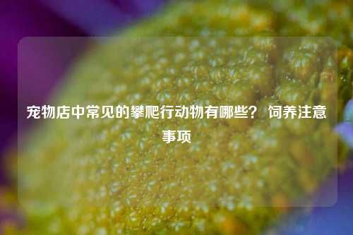 宠物店中常见的攀爬行动物有哪些？ 饲养注意事项