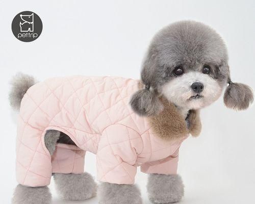 狗狗衣服变小了怎么调整？有效方法有哪些？