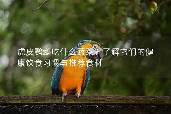 虎皮鹦鹉吃什么蔬菜？了解它们的健康饮食习惯与推荐食材