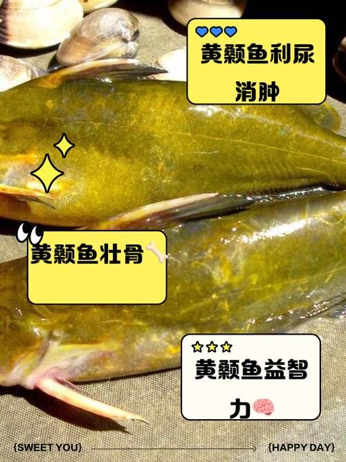 黄颡鱼容易养吗