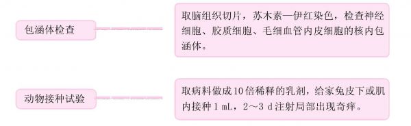 一、传染病的实验室检验诊断