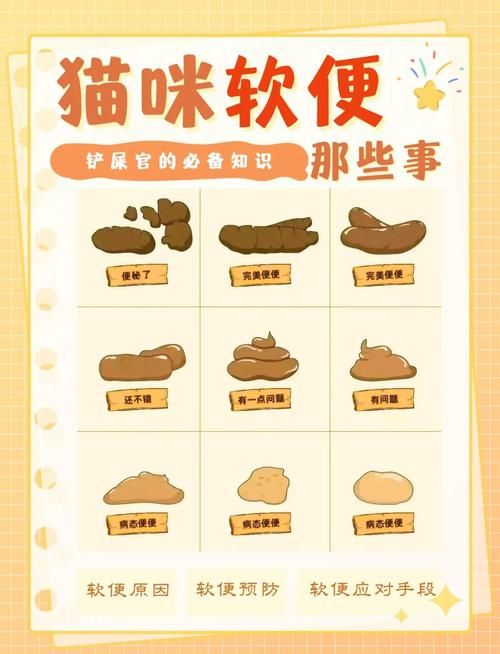 母猫多久不吃小猫大便_小猫食粪怎么办？3周内正常，超8周警惕，科学引导90%见效