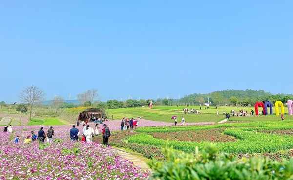 公园里游人如织。李超萍摄