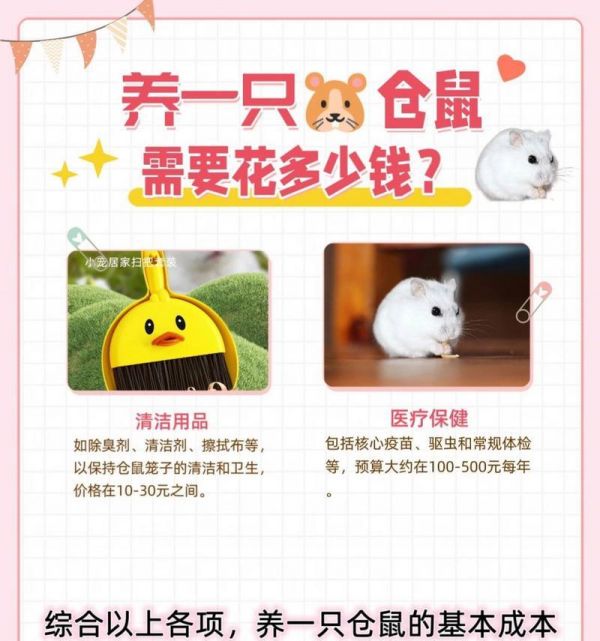 宠物店买仓鼠注意什么问题？购买仓鼠时应该注意哪些问题？