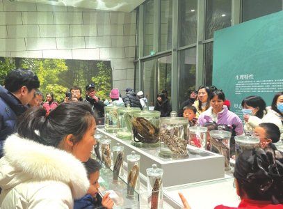 观众在成都自然博物馆参观《蜕旧迎新蛇展》。李雨心摄