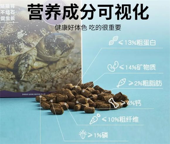 龟的食物与长寿的关系