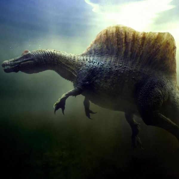 棘龙的食物是什么:棘龙的生活习性