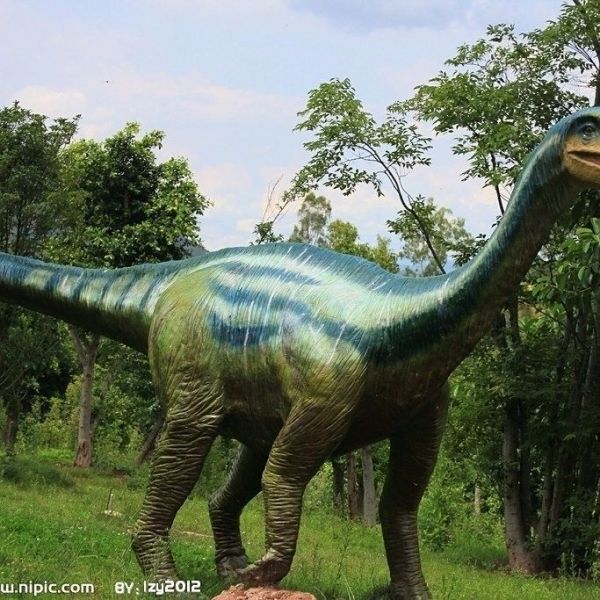 棘龙的食物是什么:棘龙的生活习性