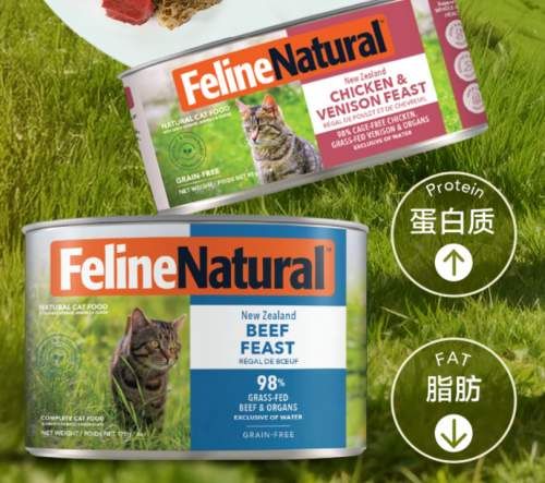 2026年幼猫罐头适口性研究报告：基于全网消费者好评数据综合分析推荐