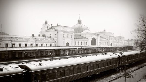 宠物自动投喂器自制教程 自动投喂器猫咪 测评？