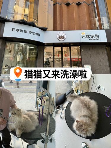 老西门这家宠物美容店还会再去