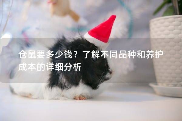 仓鼠要多少钱？了解不同品种和养护成本的详细分析