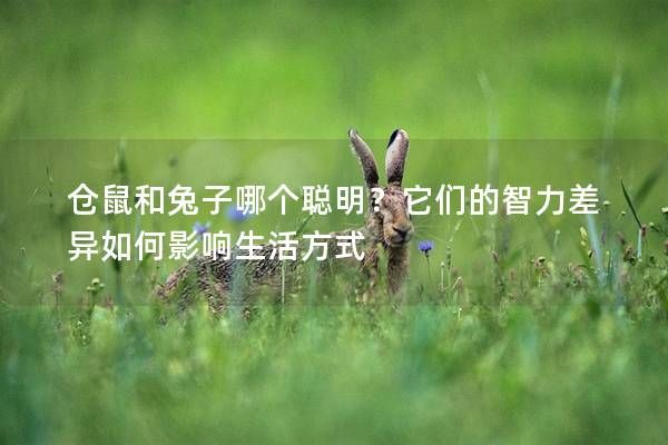 仓鼠和兔子哪个聪明？它们的智力差异如何影响生活方式