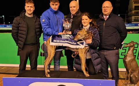 比赛2：冬季竞赛节短跑 Winter Racing Festival Sprint.jpg