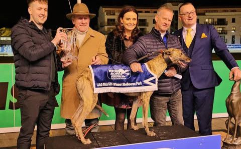 比赛9：冬季竞赛节母犬锦标赛525 Winter Racing Festival Championship Bitch 525.jpg