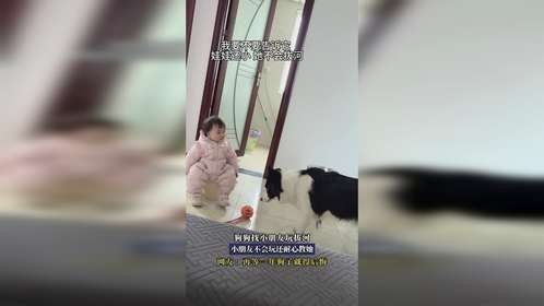 狗狗找小朋友玩拔河，小朋友不会玩还耐心教她