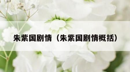 朱紫国剧情（朱紫国剧情概括）