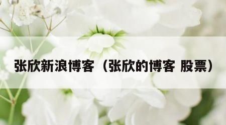 张欣新浪博客（张欣的博客 股票）