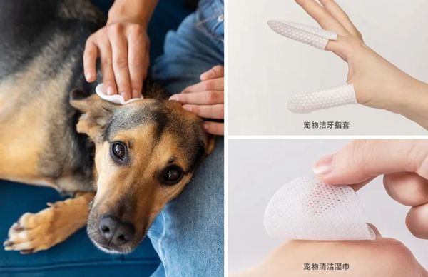 eSUN易生生物材料与3D打印材料在宠物用品中的综合应用