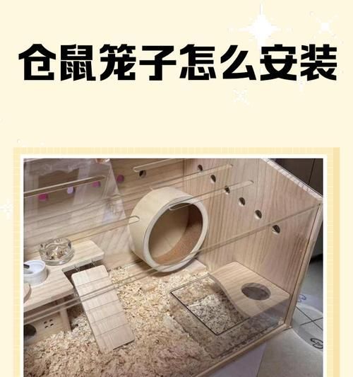 仓鼠木笼子清洁步骤是什么？多久清洁一次合适？