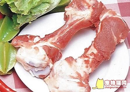 猫咪的猪骨牛肉蔬菜饭