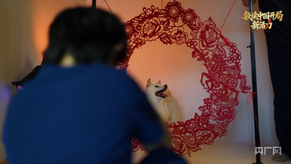 拍摄宠物新年写真（央广网记者 刘晓祺 摄）