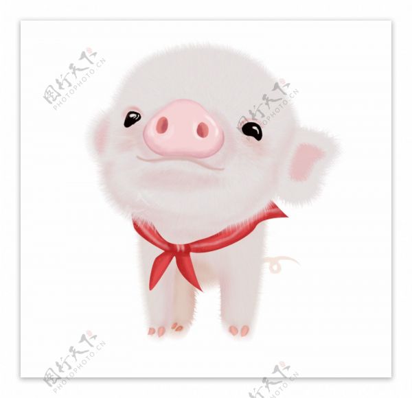 萌宠小猪猪卡通插画