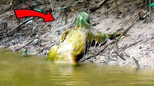 传说中的水猴子真的存在？老外拍到不明生物，画面很诡异