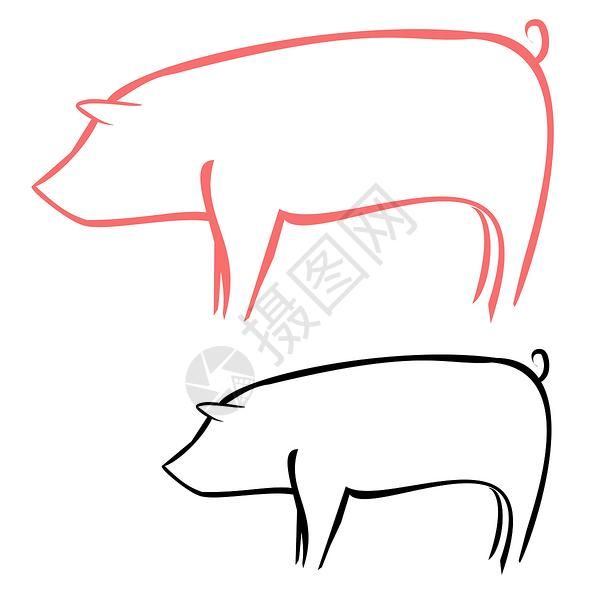 猪素描猪的尾巴高清图片