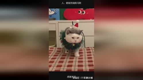 人，麦瑞克瑞斯马斯