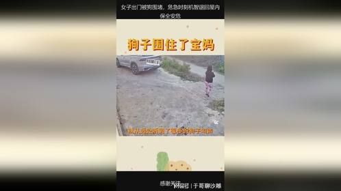 女子出门被狗围堵，危急时刻机智退回屋内保全安危