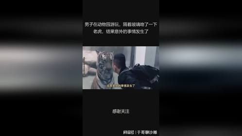 男子在动物园游玩，隔着玻璃吻了一下老虎，结果意外的事情发生了