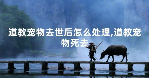 道教宠物去世后怎么处理,道教宠物死去