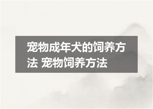 宠物成年犬的饲养方法 宠物饲养方法
