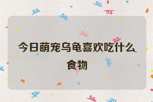 今日萌宠乌龟喜欢吃什么食物