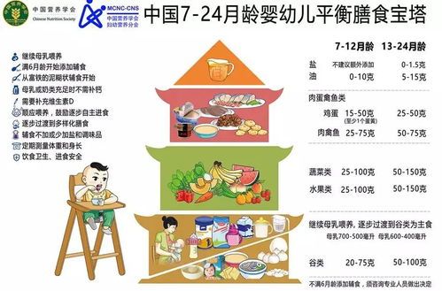 如何喂养注意哪些，喂养流程